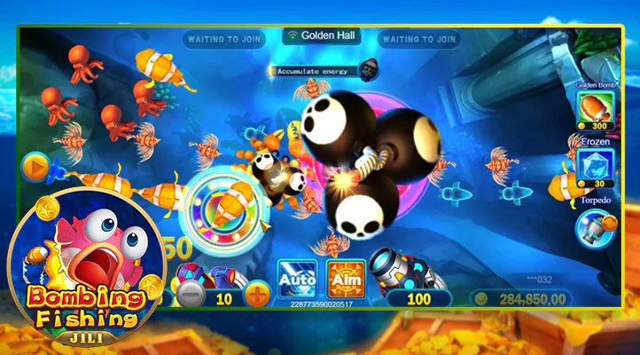 qq303
